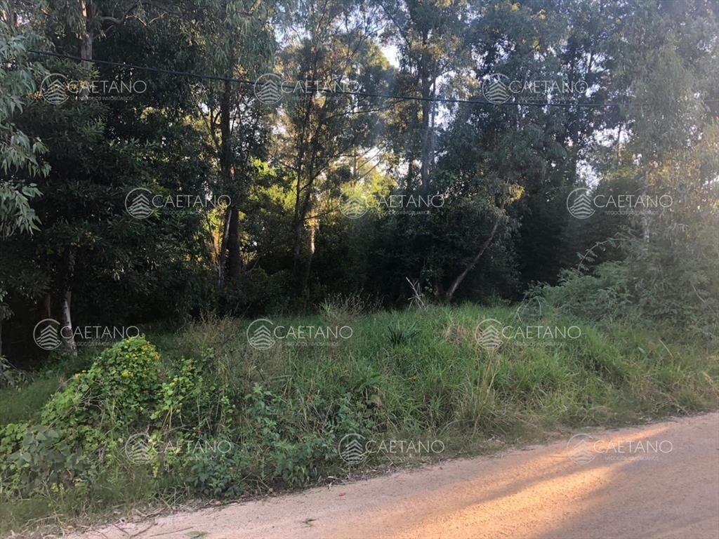 Oportunidad terreno La Barra