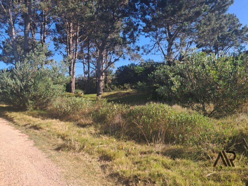 Terreno en venta  en Punta del Diablo - Inversion