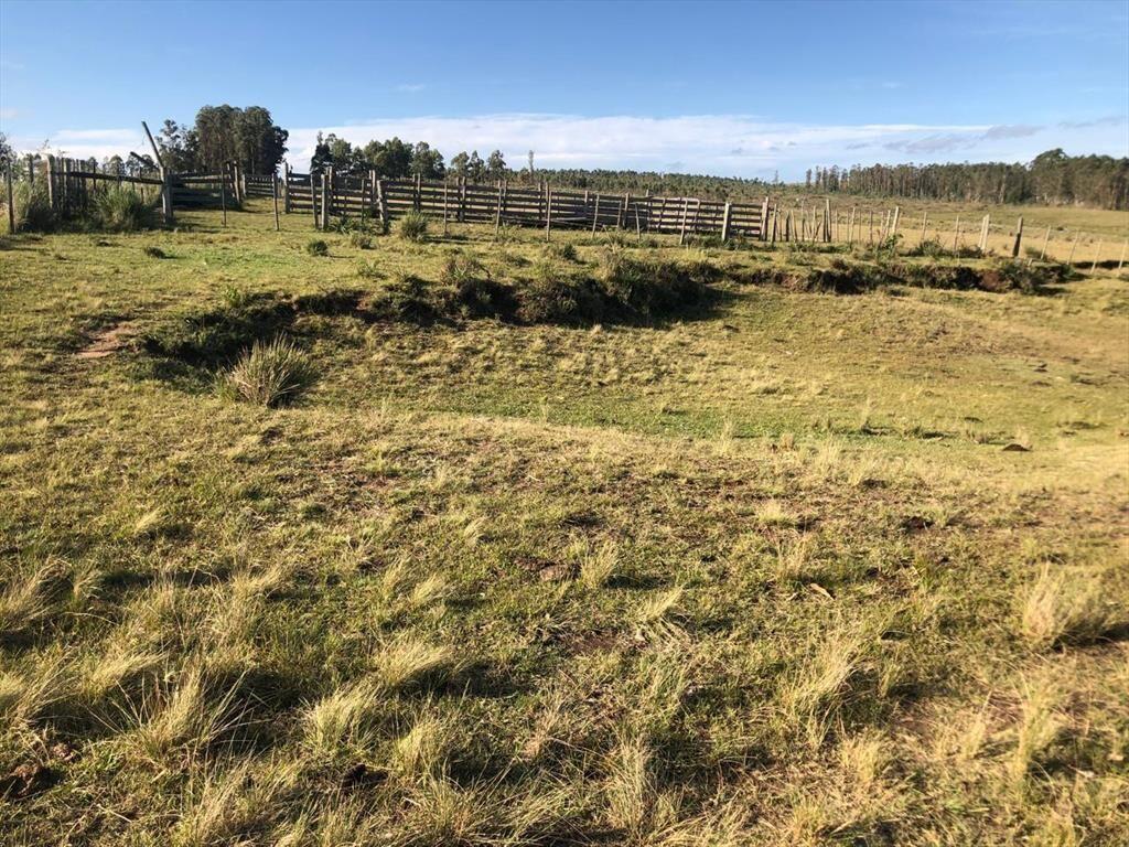 Chacra rural de 5 ha a 30 minutos de Punta del Este