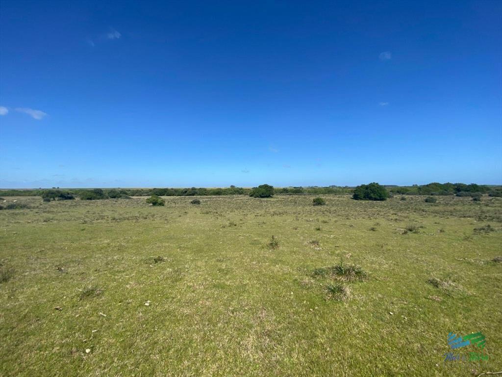 Precio Rebajado ! Campaso Agrícola - Ganadero,