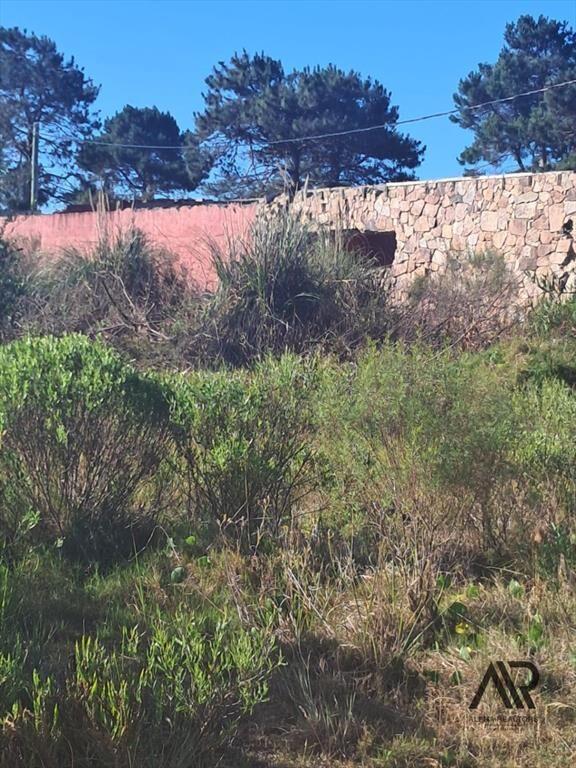 Terreno en venta  en Punta del Diablo - Inversion