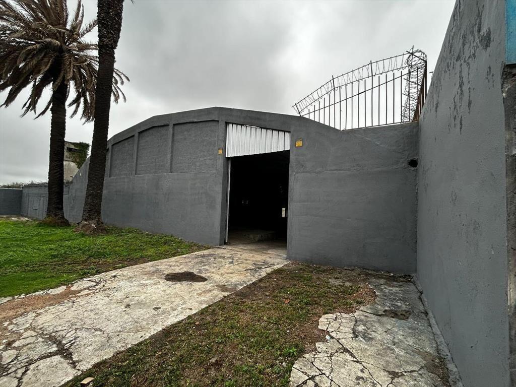 Proximo Garzón y San Quintin, Galpón de 1700m2, vigilancia