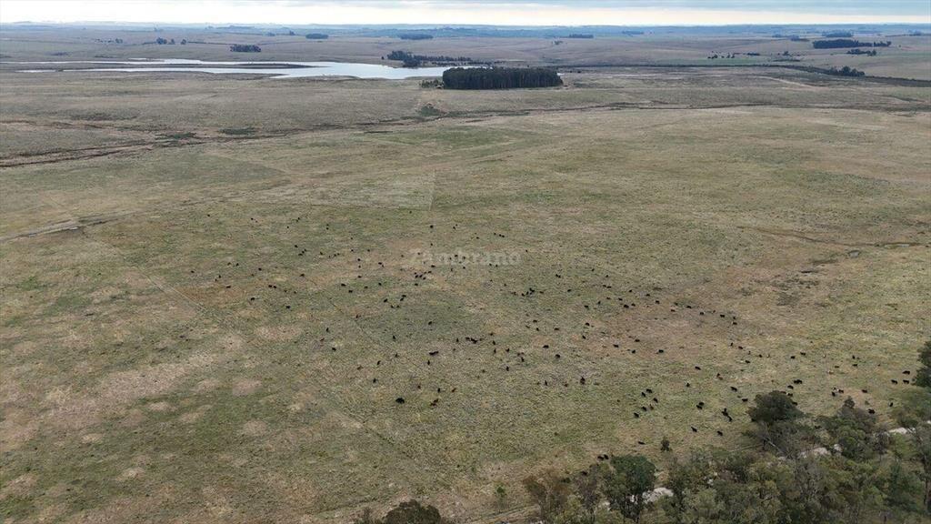 Estancia Ganadera Agrícola 1700 ha en Treinta y Tres