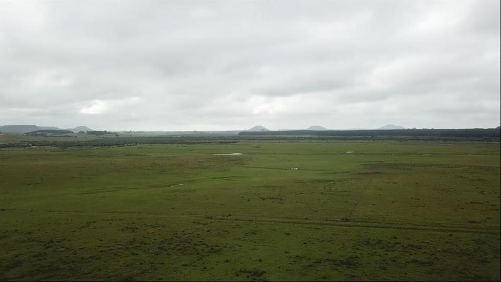 1.320 has - CAMPO GANADERO FORESTAL EN RIVERA