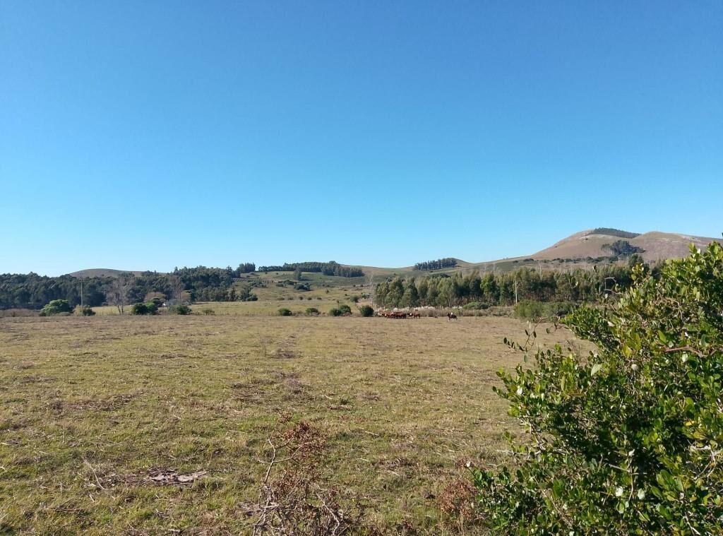 Campo 23 há, (tambo, ganadero, agrícola)