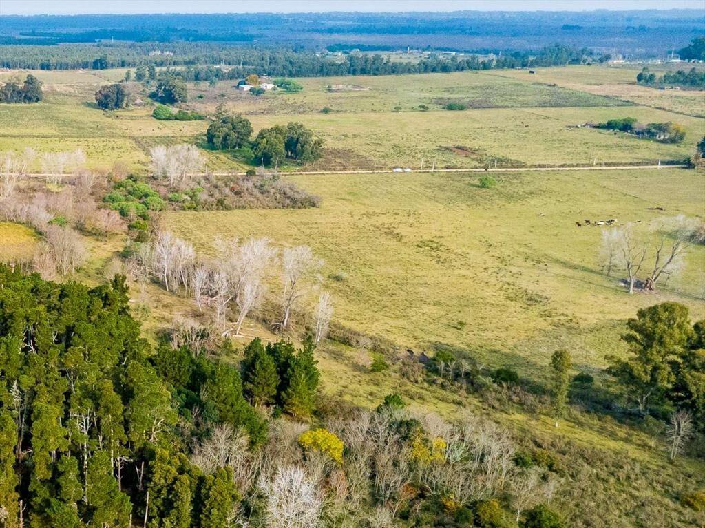 Venta de campo 3Ha. en Rincon de Pando, Canelones