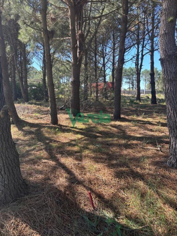 Venta terrenos Solymar , Entrega $ 300.000 más cuotas de 1