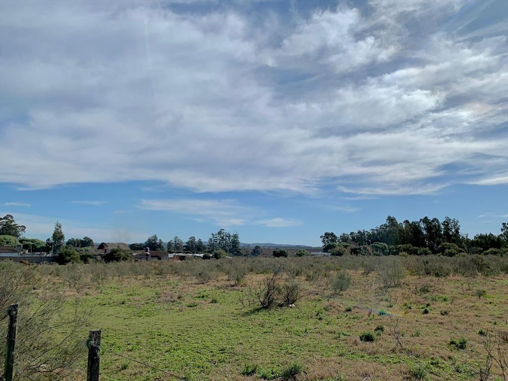 VENTA TERRENO DE 1.27 HECTAREAS EN SAN CARLOS