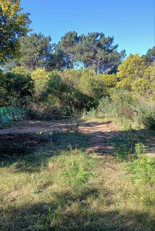 Terreno en La Paloma, La serena