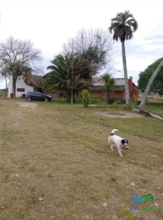 Buen campo ganadero con muy buen acceso sobre