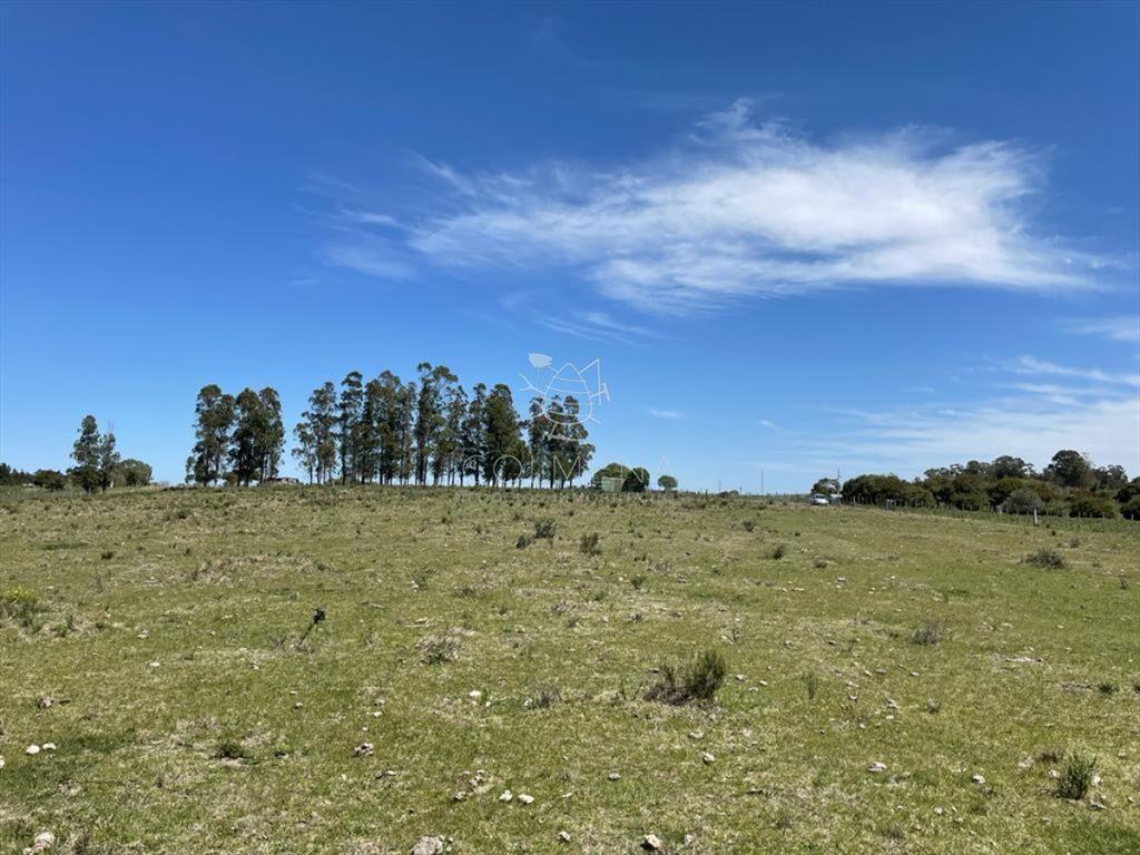 Muy linda parcela de campo sobre ruta a pocos Km