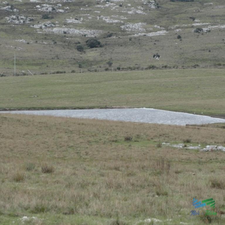BAJO DE PRECIO...Campo sobre R.12 y a menos de 1