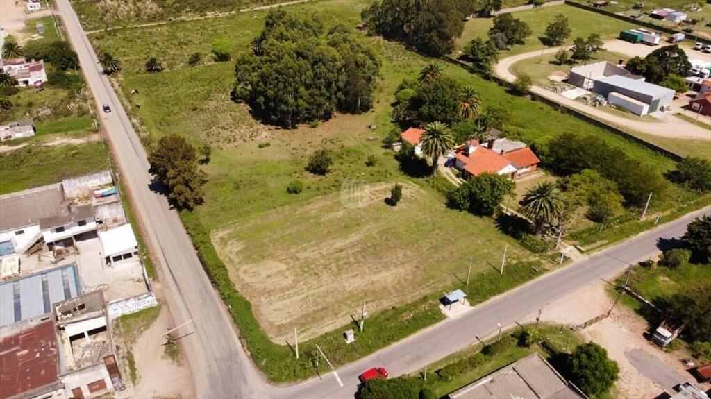 PADRON UNICO 17000 M2 POLO LOGISTICO