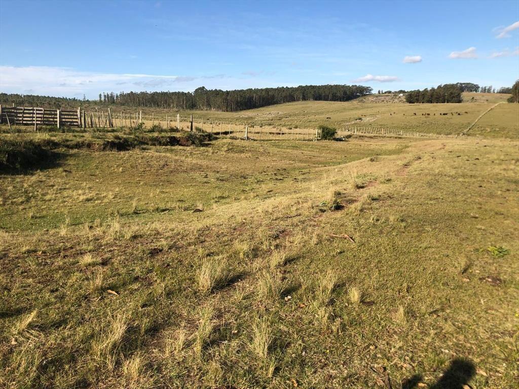 Chacra rural de 5 ha a 30 minutos de Punta del Este