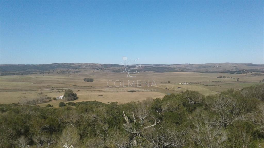 Campo en Lavalleja - 79 has con 8432 m2 -
