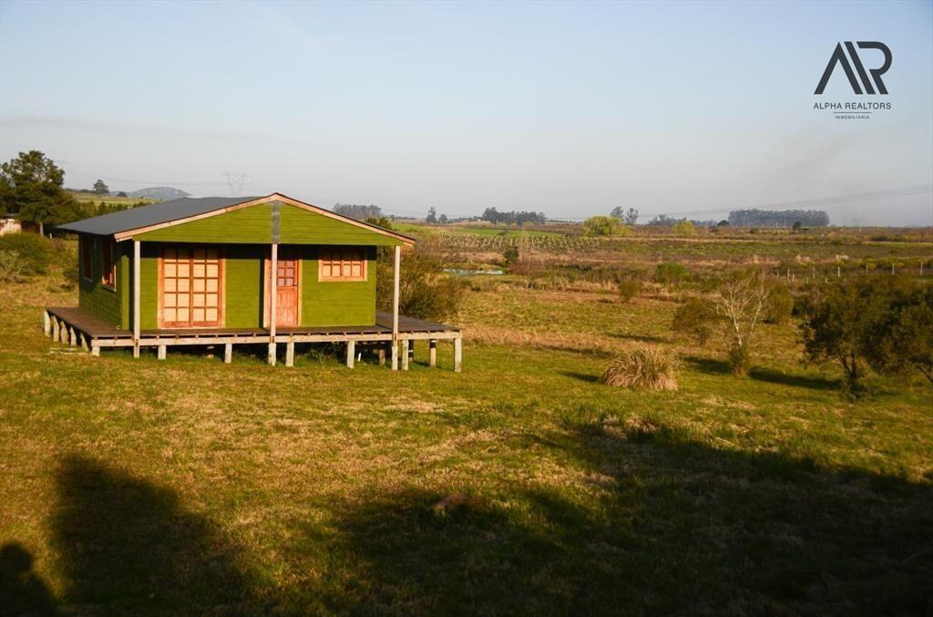 Chacra en venta de 5ha ubicado en Nueva Carrara