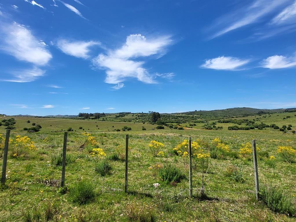 OPORTUNIDAD VENTA CHACRA PUEBLO EDEN, PUNTA DEL ESTE