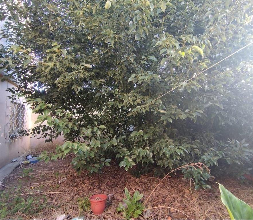 Apartamento 1 Dormitorio con Patio rentabilidad 9%