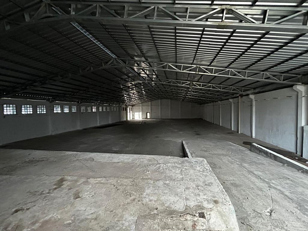 Proximo Garzón y San Quintin, Galpón de 1700m2, vigilancia