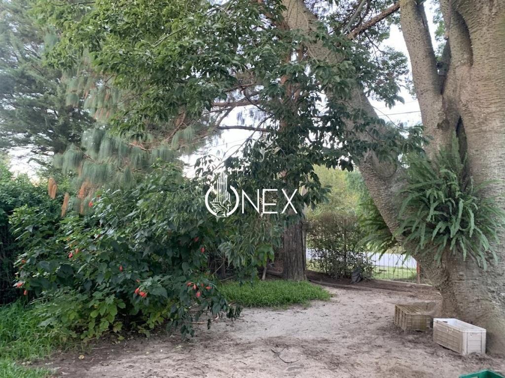 Venta de 3 Casas, más Monoambiente y Local Comercial en Ne