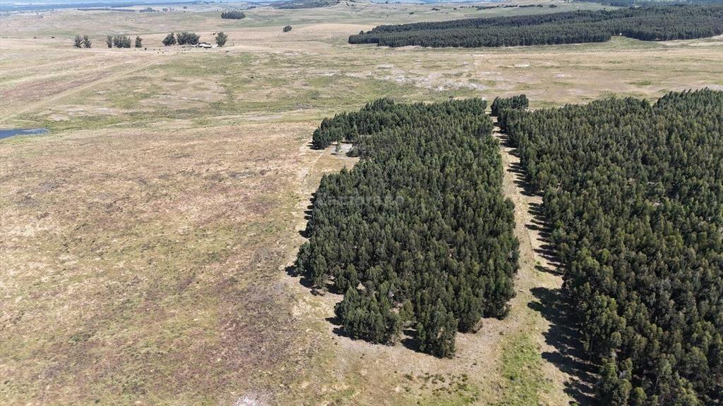 Campo Ganadero en Maldonado