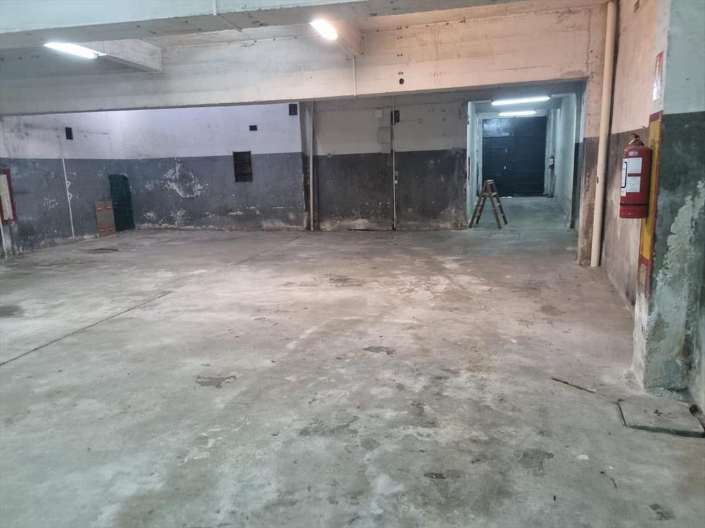 Depósito -Carlos Reyles próximo Arenal Grande , 478 m2,zona