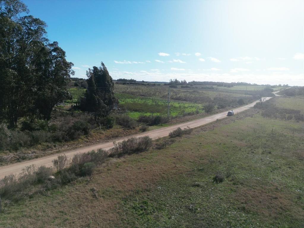 Chacra 3 hectareas