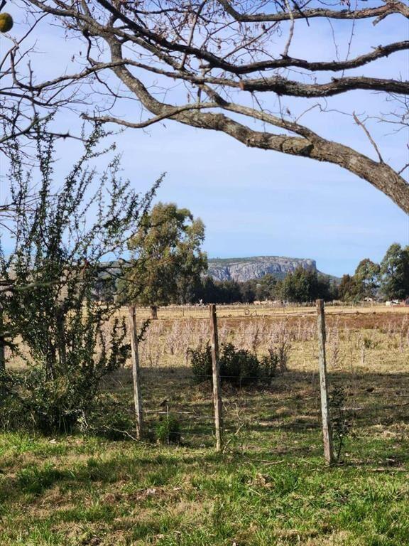 VENTA CAMPO 8ha  establecimiento POZO AGUA, MINAS