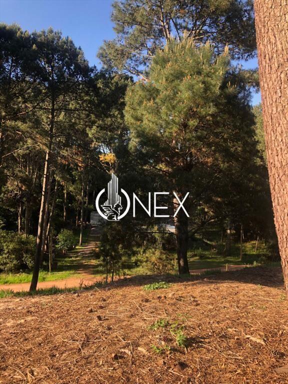 Terreno en venta en Club del Lago Maldonado