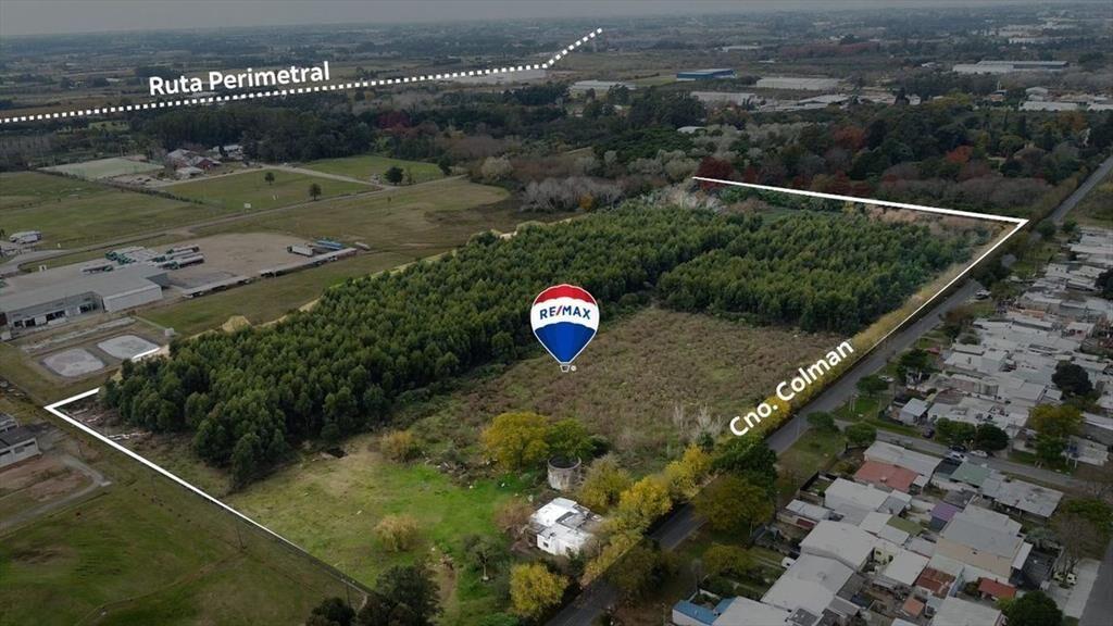 VENTA TERRENO 6 HECTÁREAS SOBRE CAMINO COLMAN