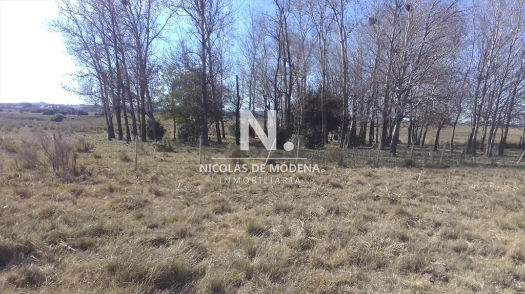 Chacra en Venta de 10 hectáreas , Minas ,