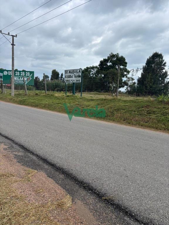 Alquiler de terreno de 4800m2 sobre