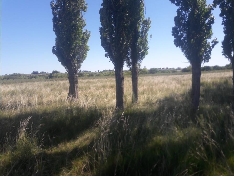 AL1086/P venta campo 53 hectareas en Estacion Solis Minas La