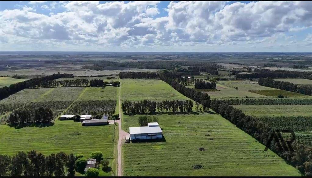 Campo en venta de 78m2 ubicado en Melilla