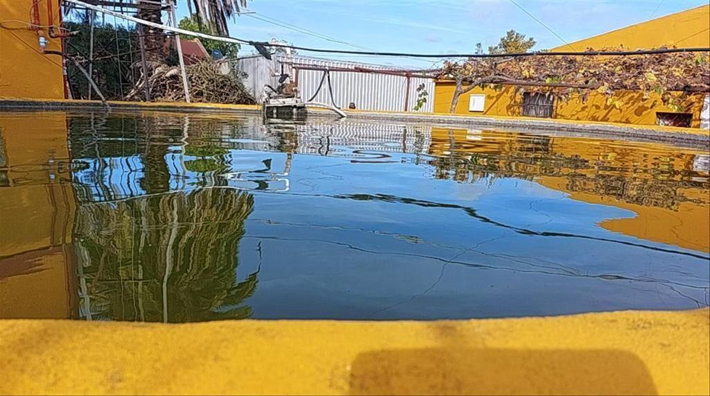 Venta de Chacra productiva en Melilla casas viñedos montes