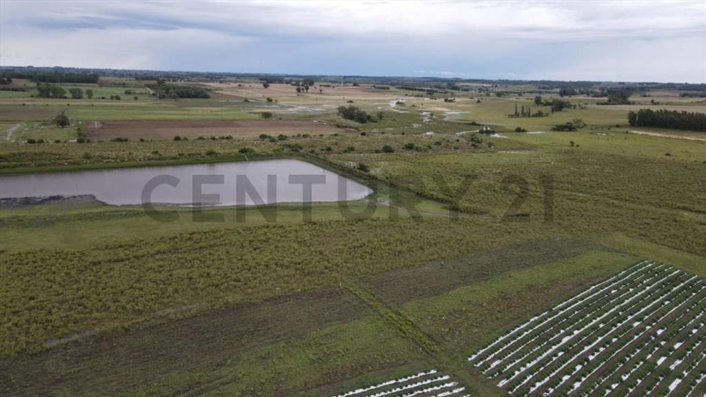 VENTA CAMPO LAVALLEJA Ideal inversión Con vivienda 99 KM ...