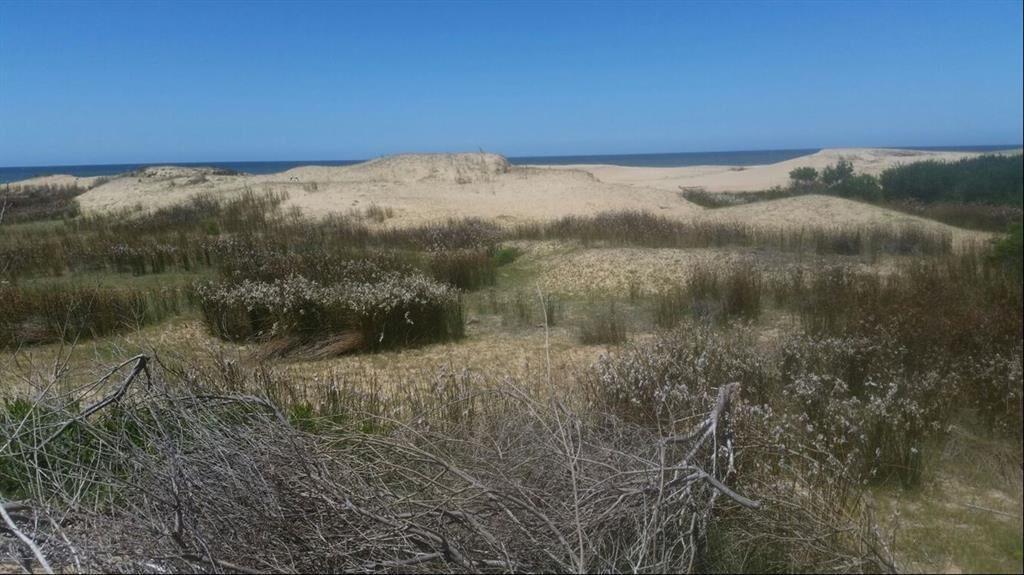 2.600 m2 sobre playa océanica, primera línea