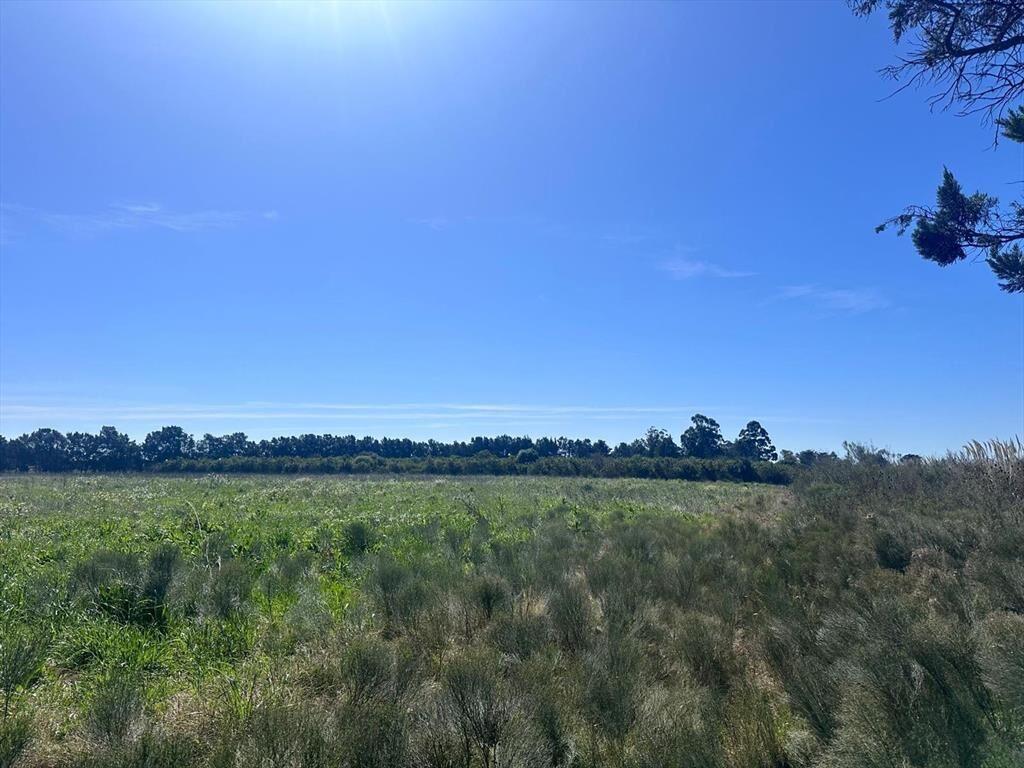 Venta de Campo de 2.82 hectáreas Camino Garcés