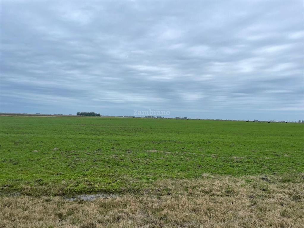 Estancia Ganadera Agrícola en Lavalleja