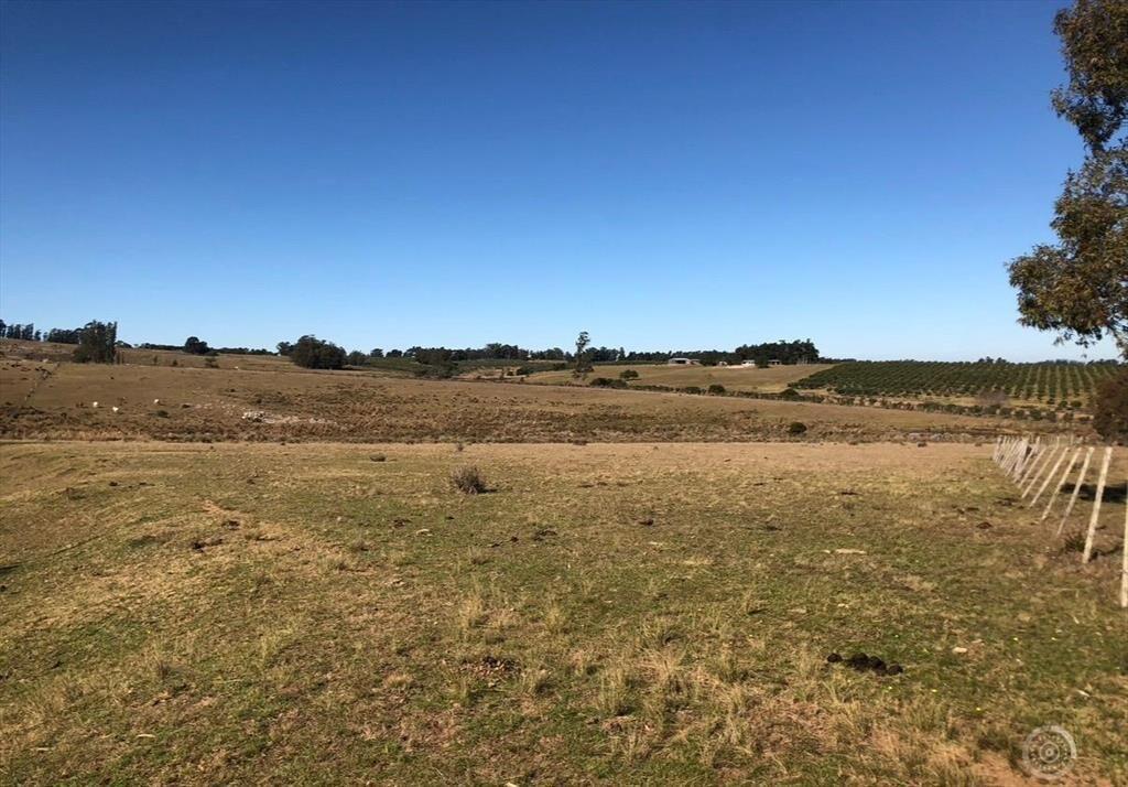 Chacra rural de 5 ha a 30 minutos de Punta del Este
