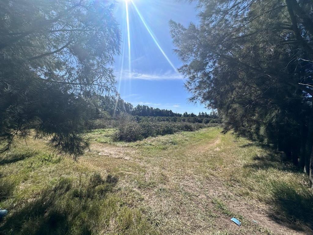 Venta de Campo de 2.82 hectáreas Camino Garcés