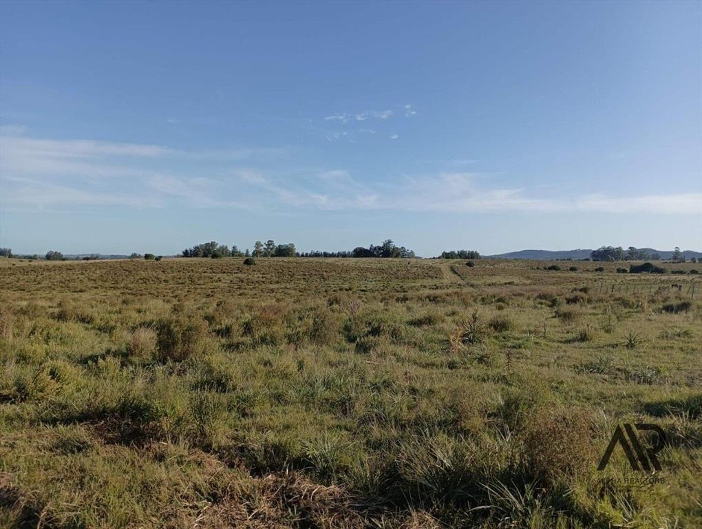 Venta Muy Buen Campo De 78 Hectáreas, Zona Muy Accesible...