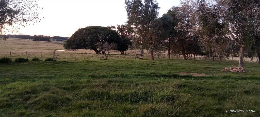 Campo 43 hectareas