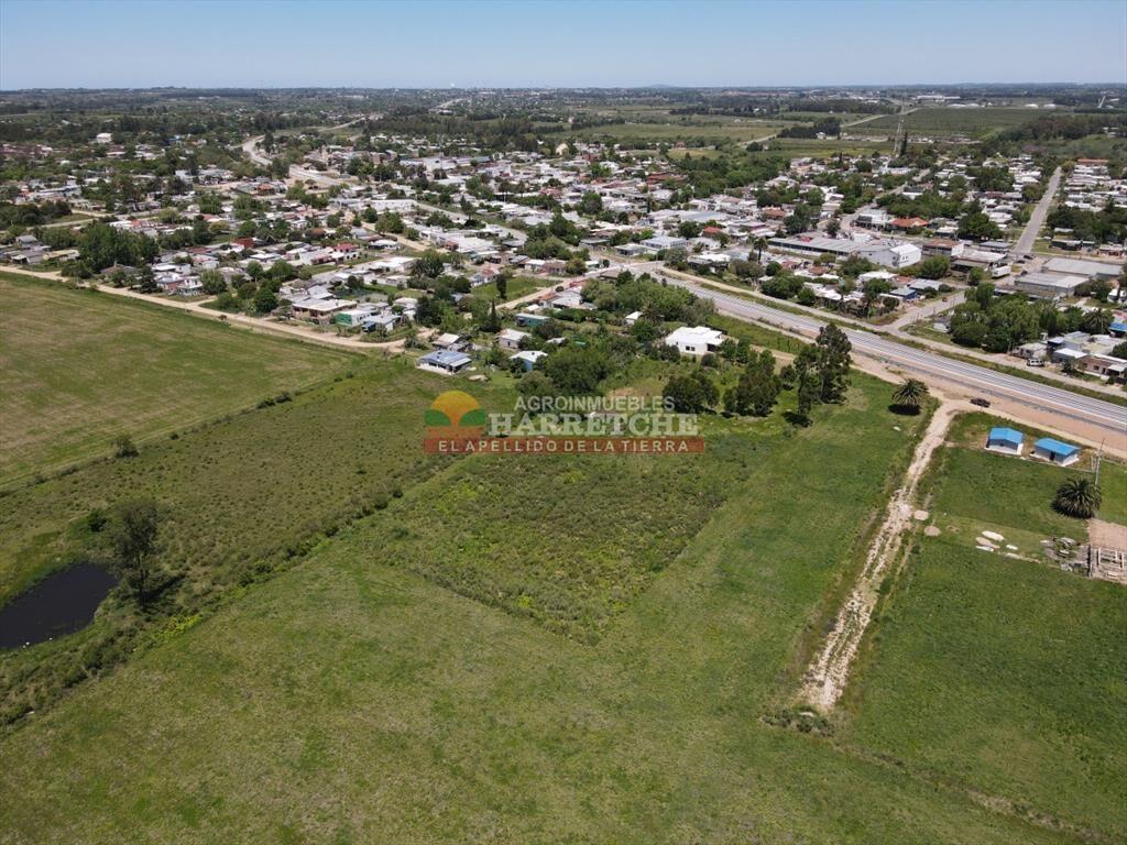 Terreno de 8000 m2 en Progreso, ideal