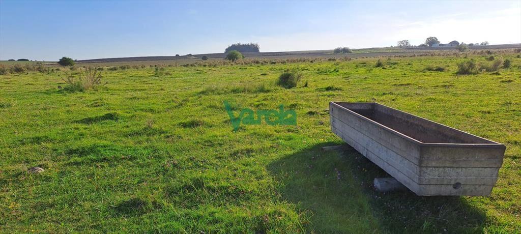 Campo 108 has. próximo a San Jacinto