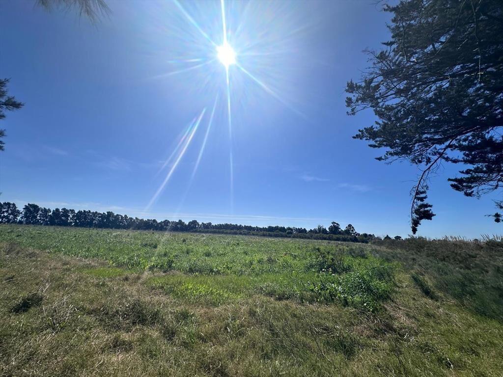 Venta de Campo de 2.82 hectáreas Camino Garcés