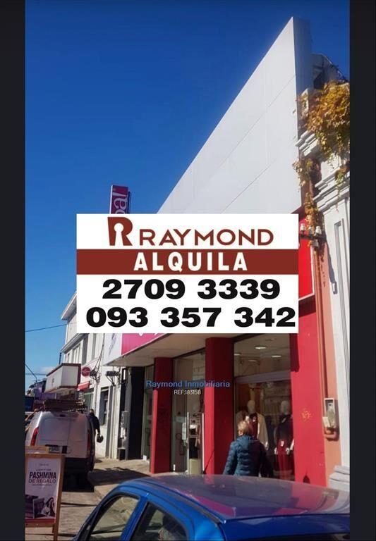 Alquiler excelente local de 860m2 en Maldonado