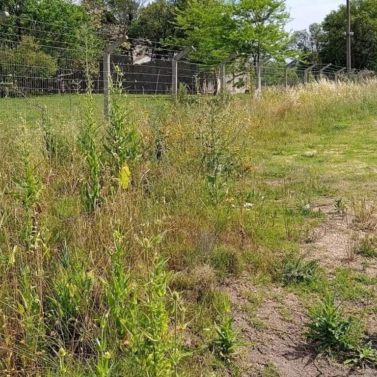 Venta De Terreno