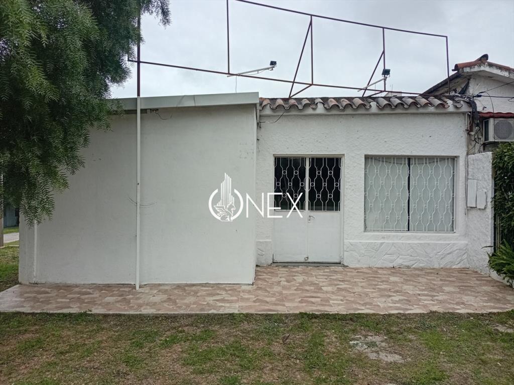 3 Casas y un local con cÃ¡mara de frÃ­o en venta