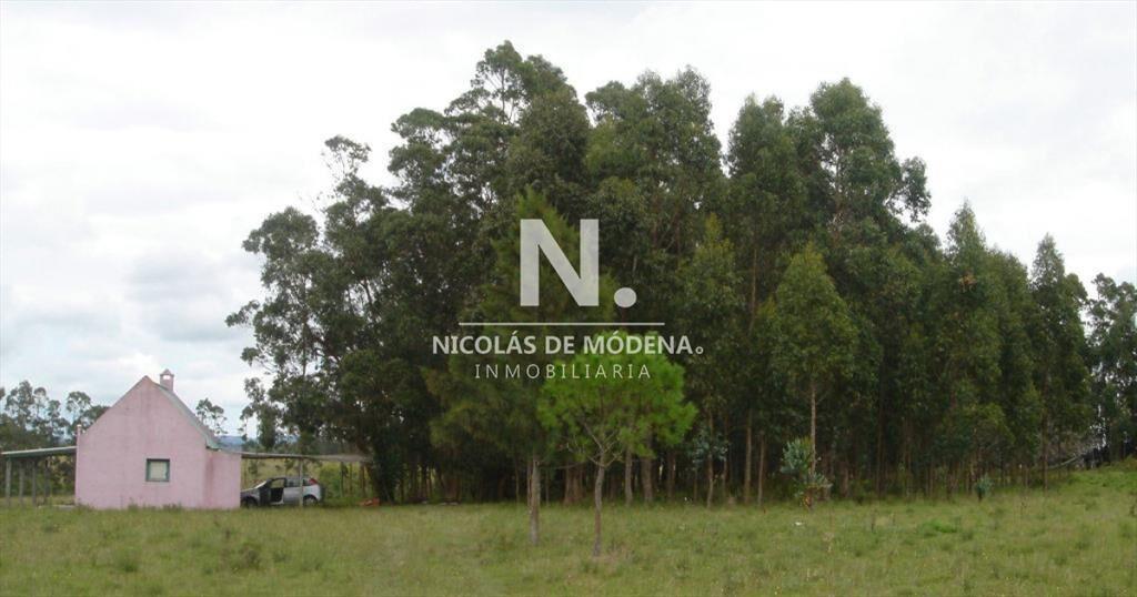 En venta enorme terreno en Barrio Camino